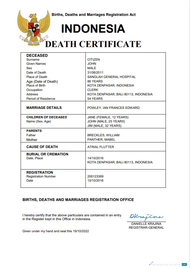 Download Indonesia vital record death certificate Word and PDF template Photoshop template